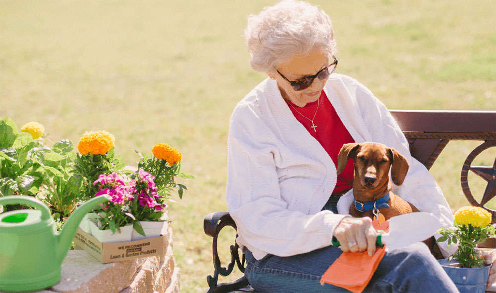 Senior woman sitting on bench with dachshund in her lap